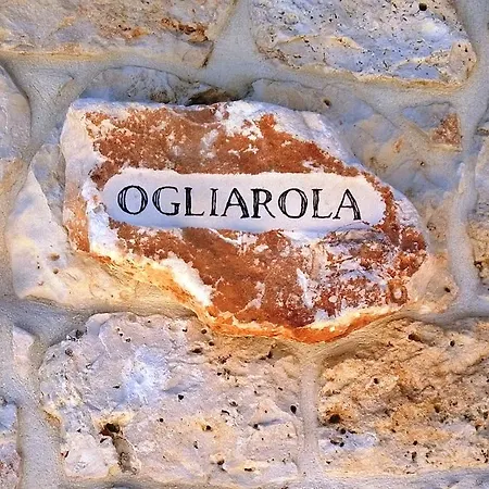Tenuta Arcangelo